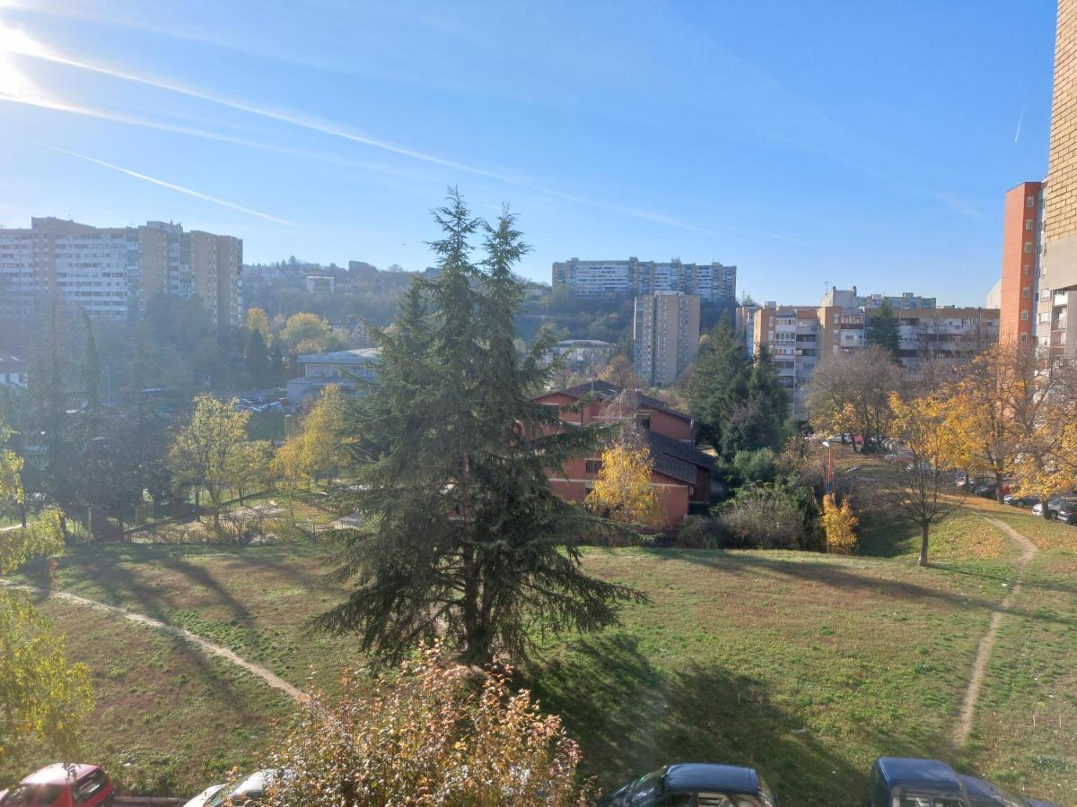 Apartman 23 Belgrad Zewnętrze zdjęcie